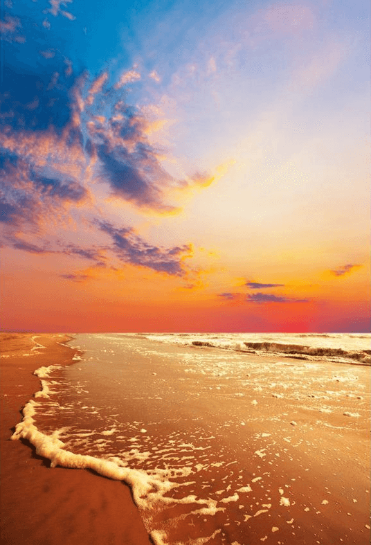 Twilight Beautiful Seaside Backdrop Sea Summer Gloam Photography