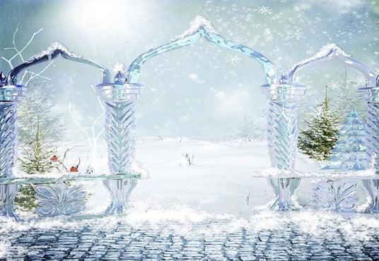 Winter Snow Ice Door Photo Backdrop for Studio