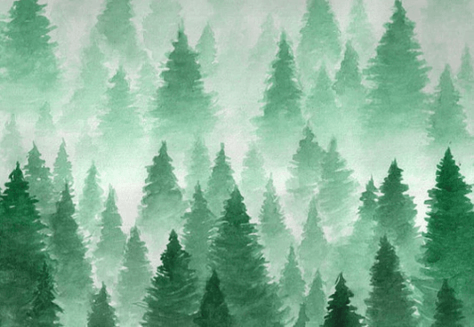 Watercolor Fantasy Landscape Winter Foggy Forest Hill Backdrop for Christmas Photography SBH0150