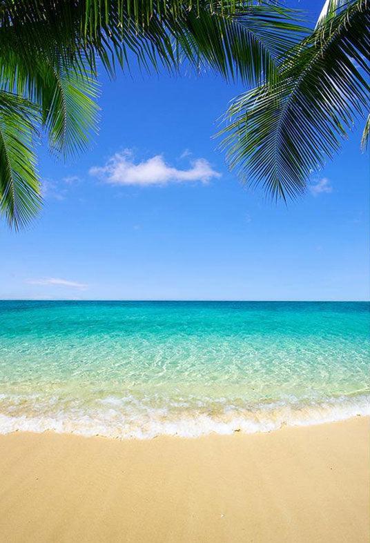 Blue Sea And Sand Beach Backdrop For Summer Seaside Scenery Photography