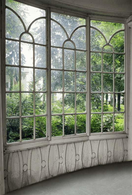 Old Winter Green Background Backdrop for Photography SBH0251