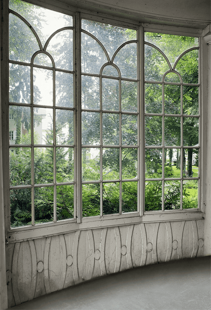 Old Winter Green Background Backdrop for Photography SBH0251