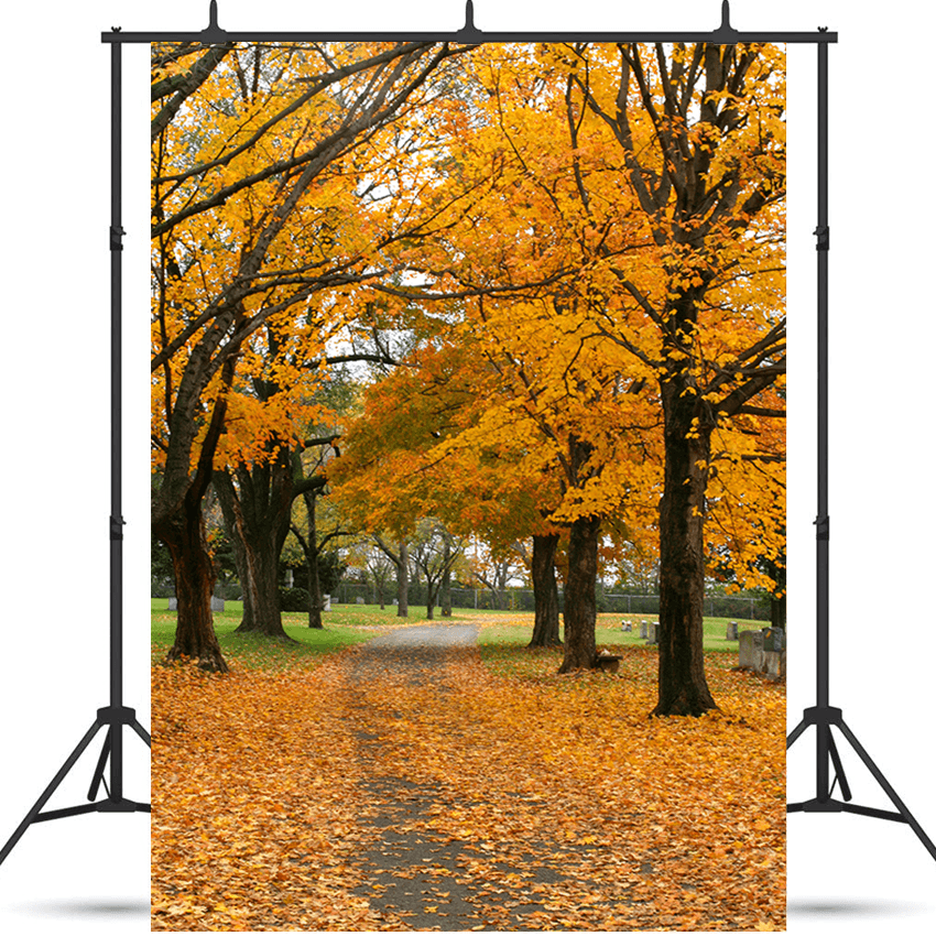 Fall Forest Road Leaves View Backdrop for Photography SBH0191