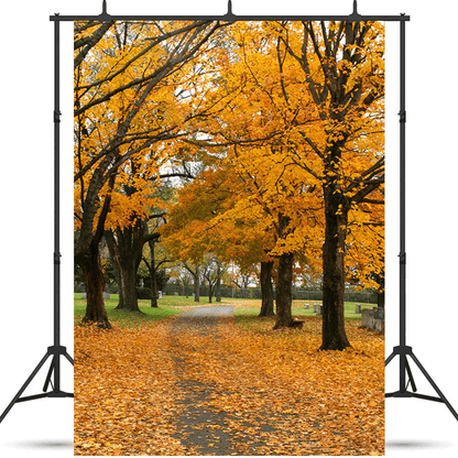 Fall Forest Road Leaves View Backdrop for Photography SBH0191