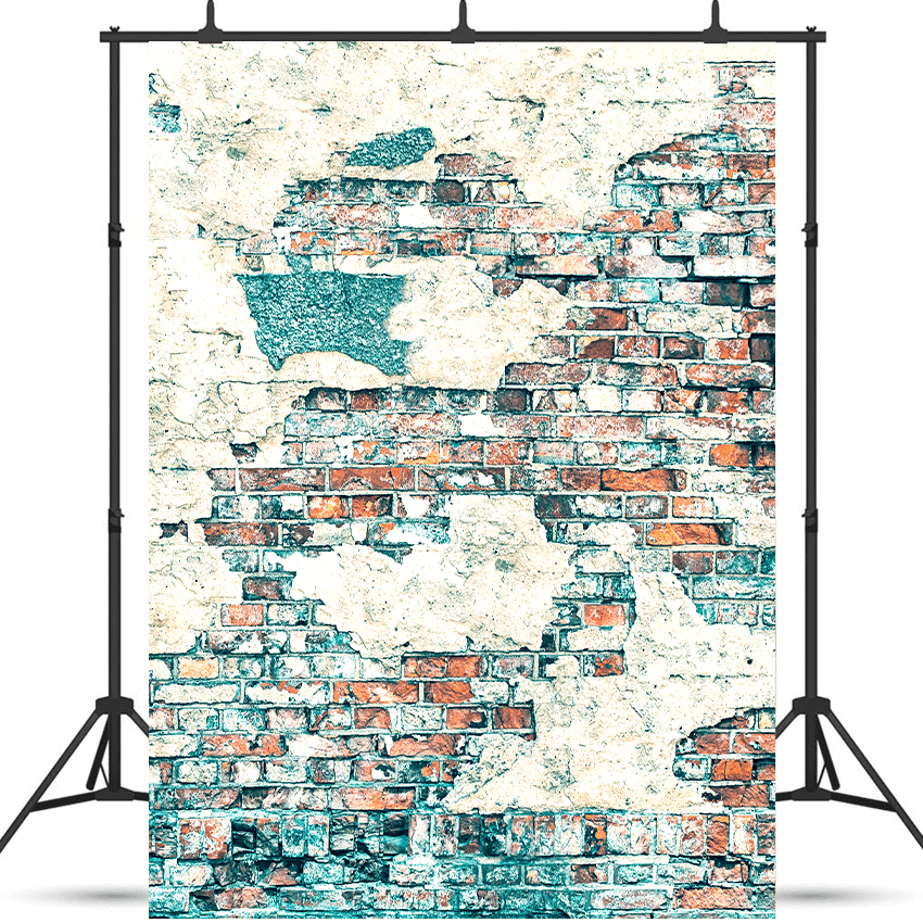 Grunge Wall Background Bricks Texture Photography Backdrop SBH0161