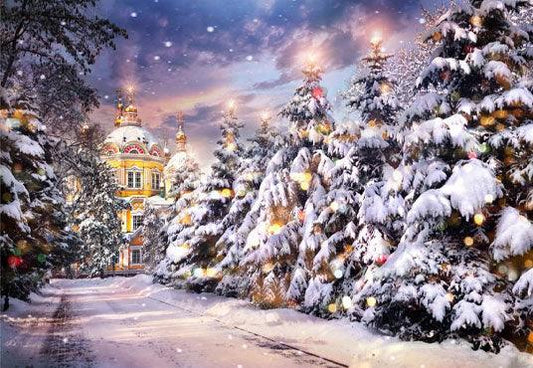 Snow Winter Castle Happy New Year Backdrop