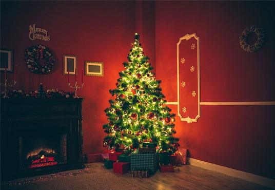 Merry Christmas Wood Floor Red Backdrop for Photography