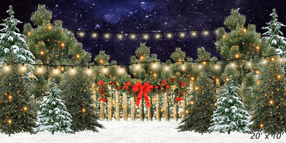 Christmas Lights and Snow Backdrop in Photo Studio SBH0280