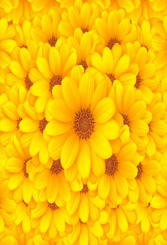 Yellow Flowers Baby Show Backdrop for Photography Wedding Background