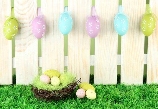 Easter Fence Colorful Eggs Photo Booth Prop Backdrops