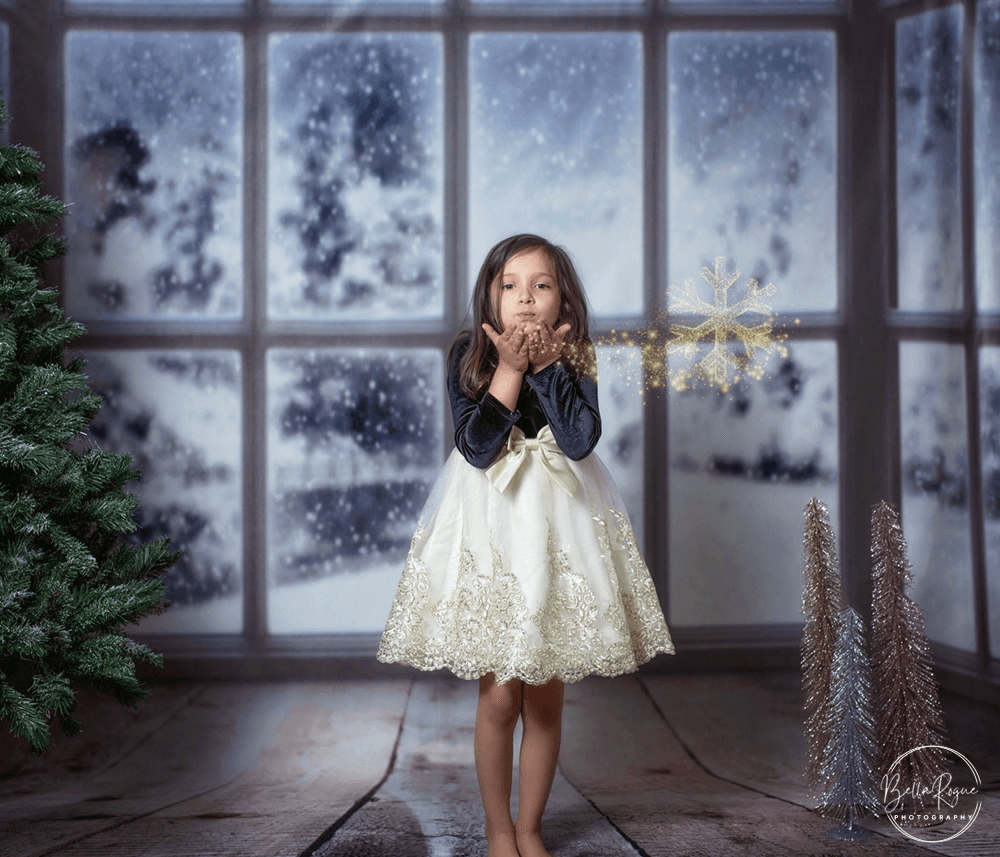 Winter Window Wood Floor Snow Backdrop J06252