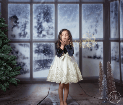 Winter Window Wood Floor Snow Backdrop J06252