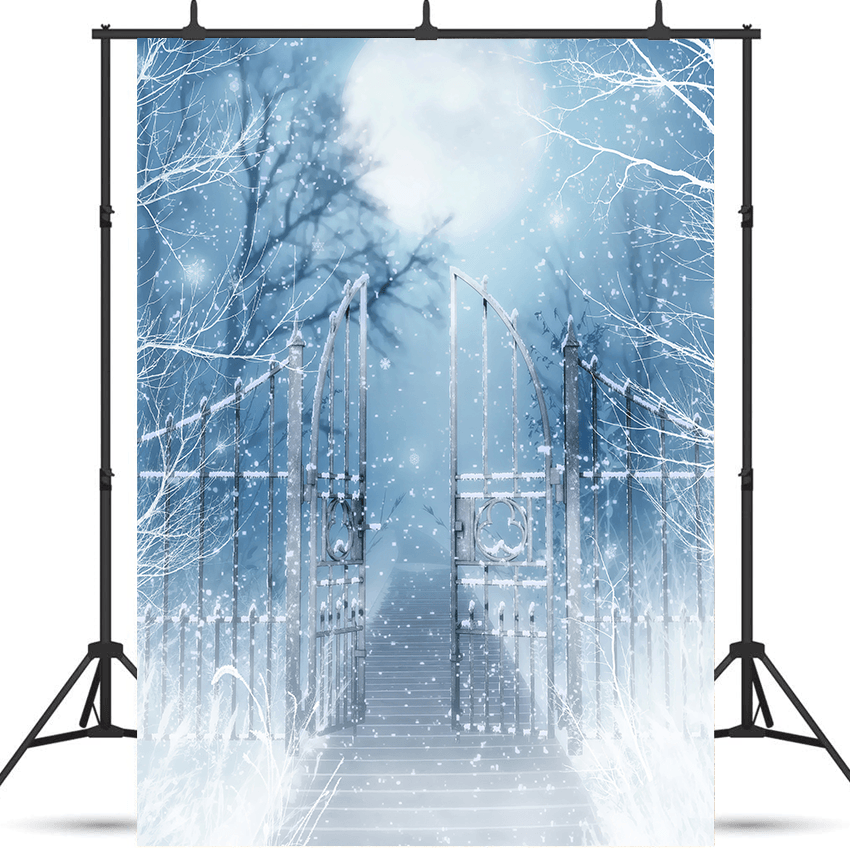 Winter Snow Scenery With Gate Backdrop for Photography SBH0285