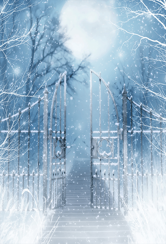 Winter Snow Scenery With Gate Backdrop for Photography SBH0285
