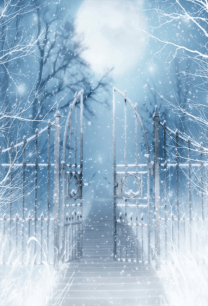 Winter Snow Scenery With Gate Backdrop for Photography SBH0285