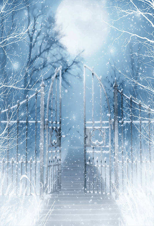 Winter Snow Scenery With Gate Backdrop for Photography SBH0285