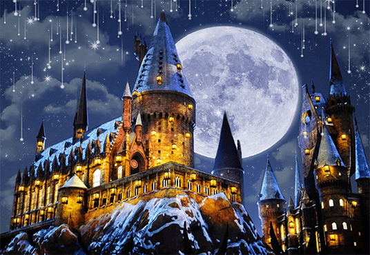 Night Hogwarts Castle Backdrop for Halloween Photography SBH0246