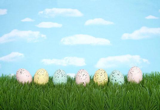 Blue Sky White Cloud Easter Green Grass Backdrops