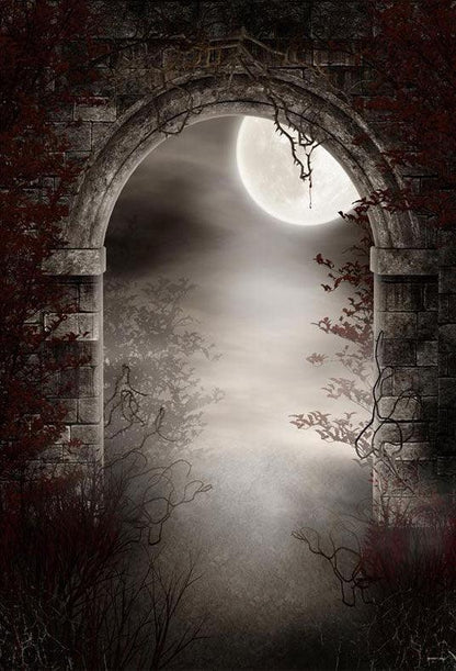 Halloween Door Bright Moon Branches Photography Backdrops