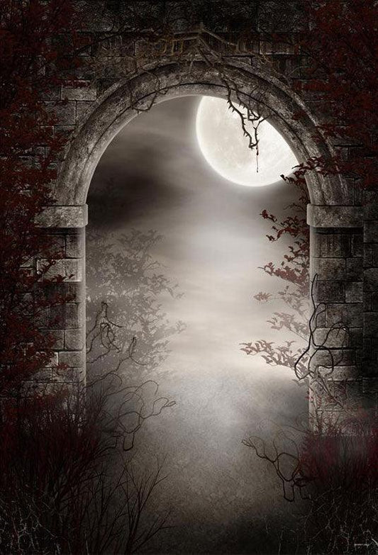 Halloween Door Bright Moon Branches Photography Backdrops