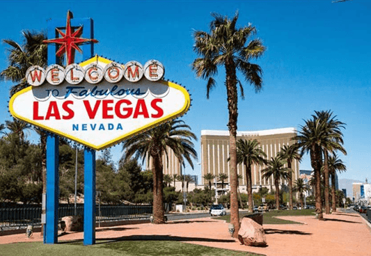 Las Vegas Theme Summer Beach Backdrop for Party Photography