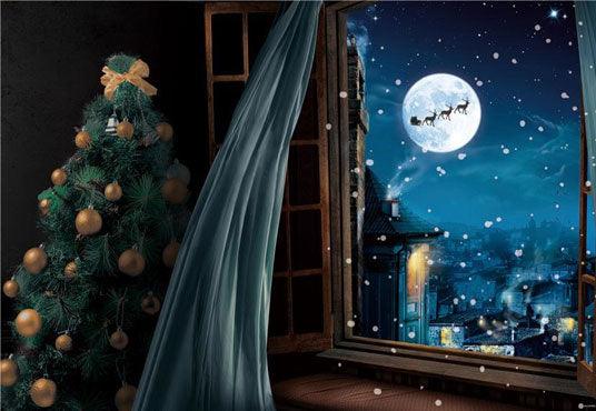 Winter Snowflake Christmas Windows Backdrops for Photography