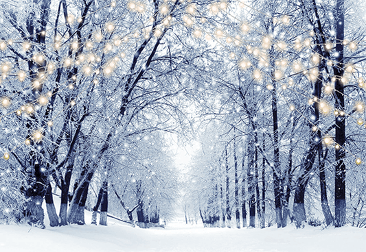 Winter Scenery Frosty Trees Backdrop for Photography SBH0244