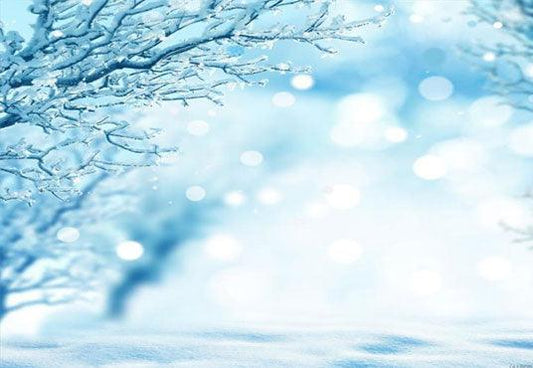 Blue Sky Snow Branches Winter Backdrop for Photography