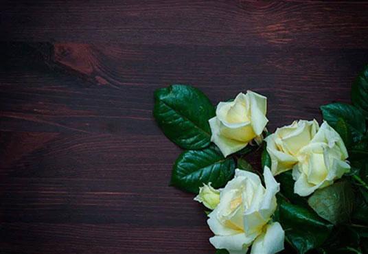White Flowers On Dark Brown Wood Wall Backdrop For Mother's Day Photography