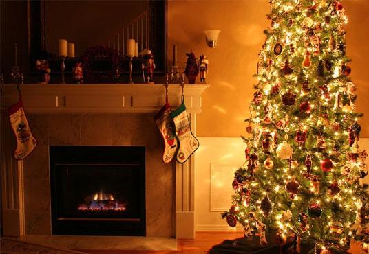 Night of Bright Christmas Tree Photo Backdrops