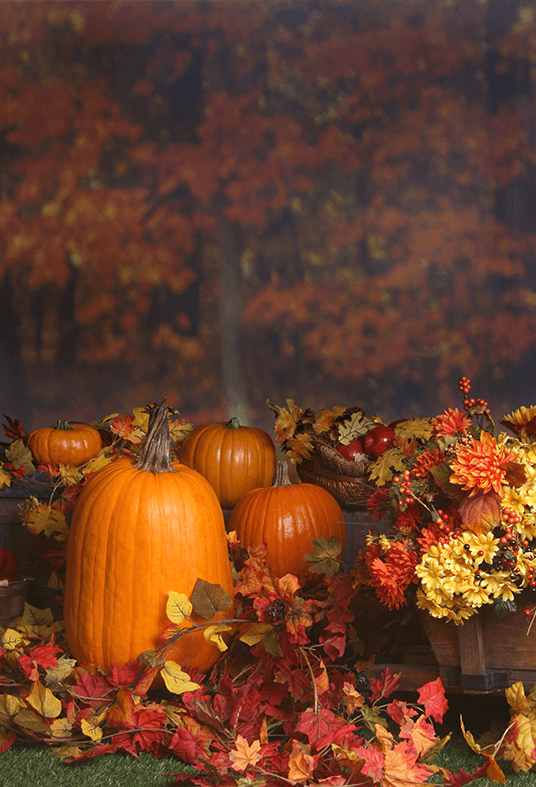 Fall Scene With Pumpkins Backdrop for Photography SBH0194