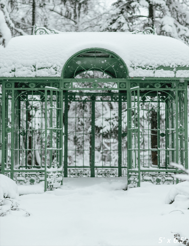 Cold Snowy Winter Weather Backdrop  for Photography SBH0296