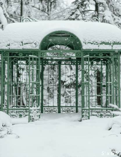 Cold Snowy Winter Weather Backdrop  for Photography SBH0296