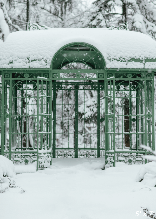 Cold Snowy Winter Weather Backdrop  for Photography SBH0296