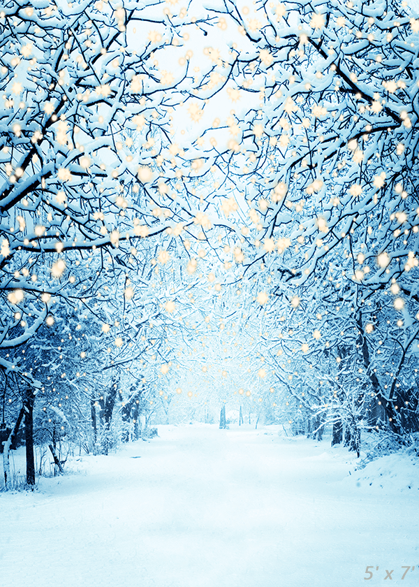 Winter Snowy Lane With Lights Photography Backdrop SBH0299