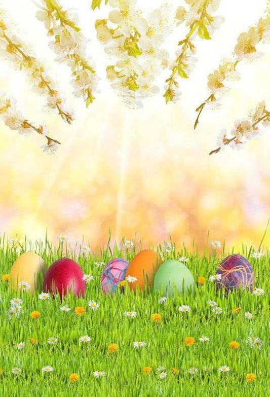 Bokeh Easter Colorful Eggs  On Grass With Sunshine Backdrop For Holiday Photography
