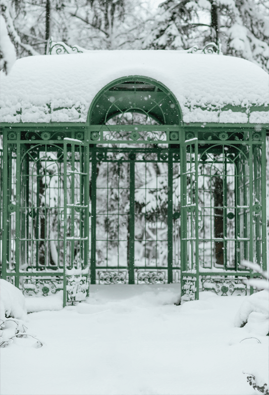 Cold Snowy Winter Weather Backdrop  for Photography SBH0296