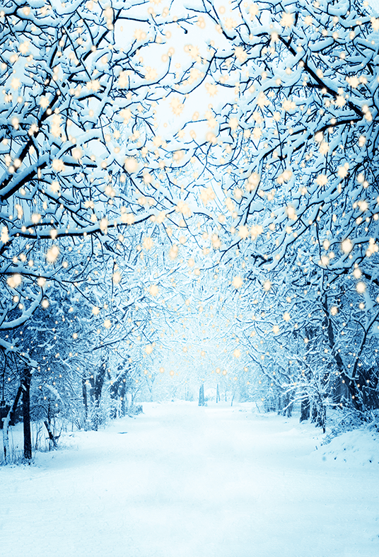 Winter Snowy Lane With Lights Photography Backdrop SBH0299