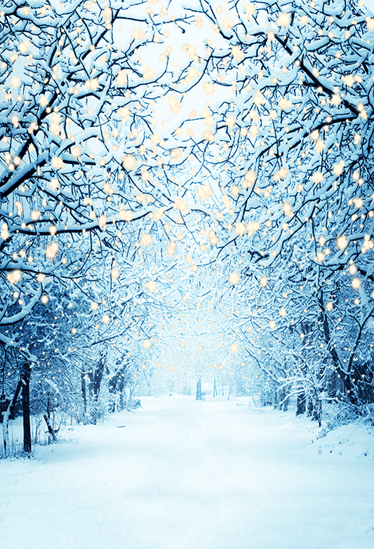 Winter Snowy Lane With Lights Photography Backdrop SBH0299