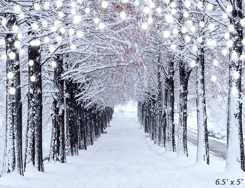 Winter Snow Forest Backdrop Background Studio Props SBH0304