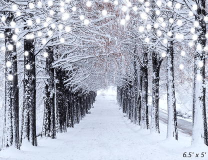 Winter Snow Forest Backdrop Background Studio Props SBH0304