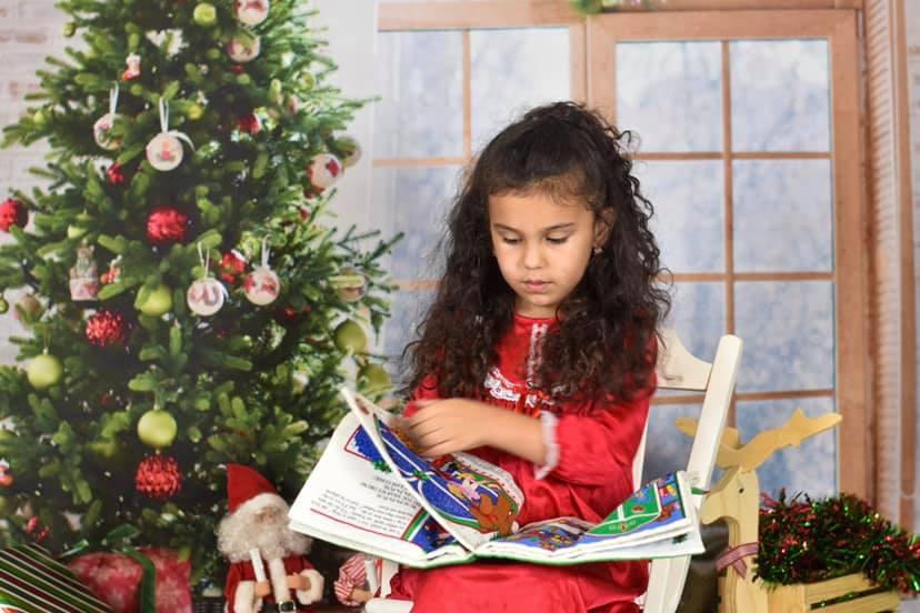 Window Christmas Photo Studio Backdrop