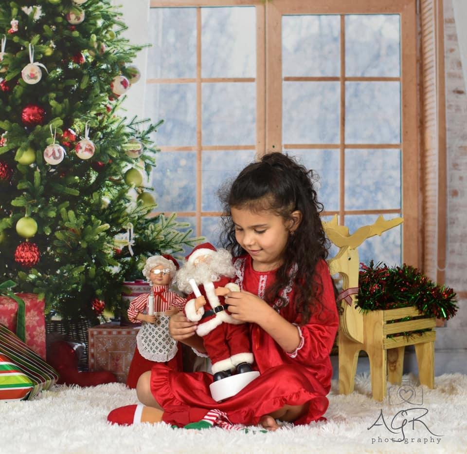 Window Christmas Photo Studio Backdrop