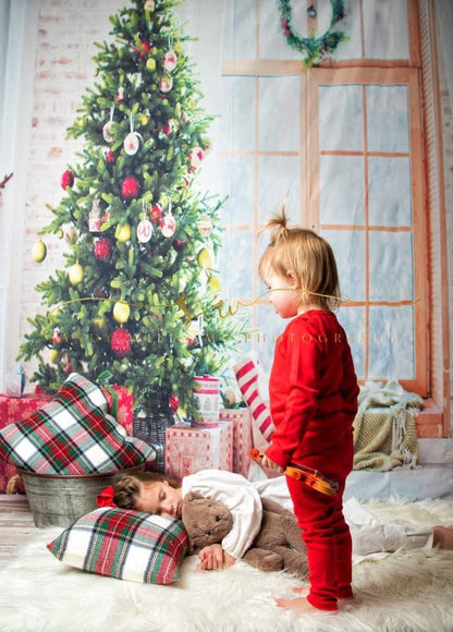 Window Christmas Photo Studio Backdrop