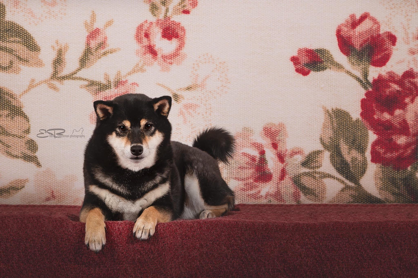 Floral Portrait Photography Newborn Backdrops