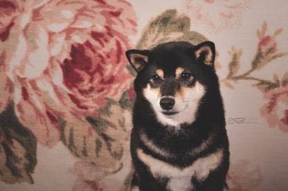 Floral Portrait Photography Newborn Backdrops