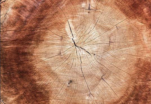Annual Ring Wood Grain  Backdrop for Photography Photo Studio SBH0004