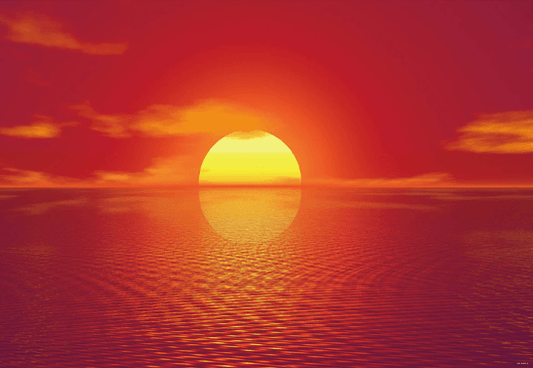 Summer Sunset Wonderland Backdrop for Photography