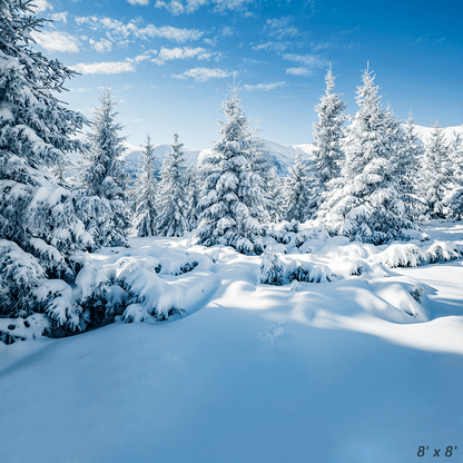 Winter Snowy Landscape Backdrops Photo Studio Props SBH0302