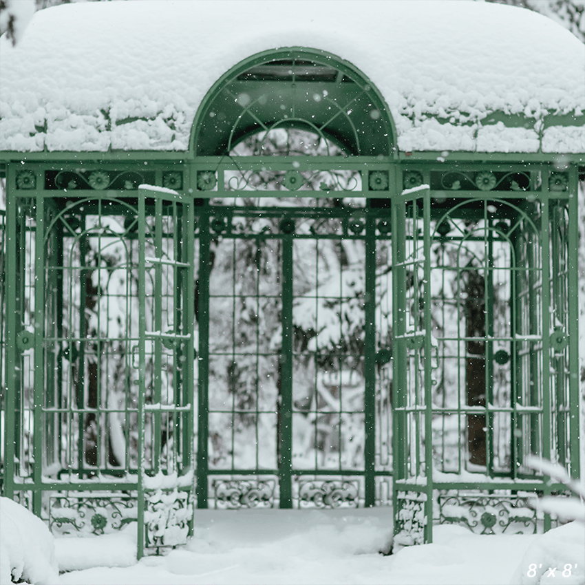 Cold Snowy Winter Weather Backdrop  for Photography SBH0296